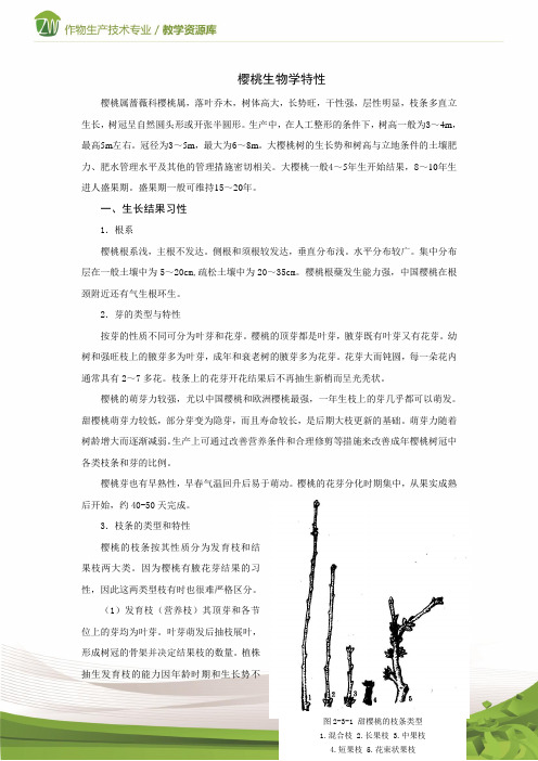 设施果树生产樱桃生物学特性电子教材1概要