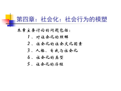 南京大学社会心理学第四章PPT课件