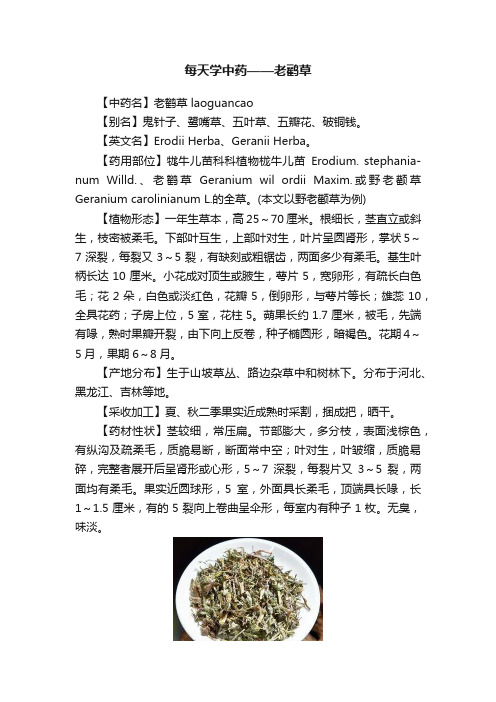 每天学中药——老鹳草