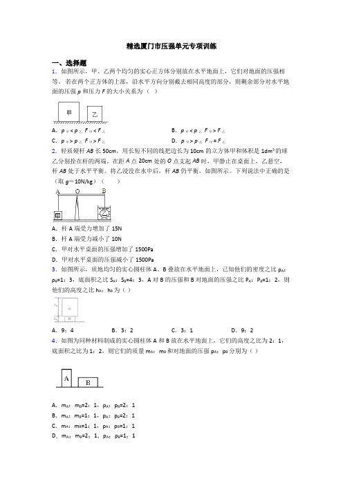 精选厦门市压强单元专项训练