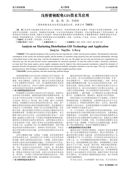 浅析营销配电GIS技术及应用