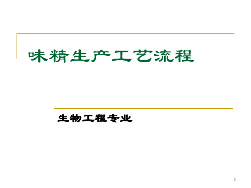 味精生产工艺流程ppt课件