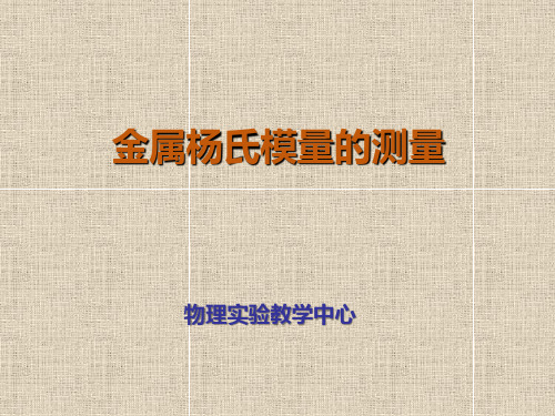 大学物理实验实验19  金属杨氏模量的测量