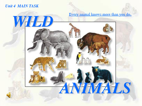 《wild animals》英语课件