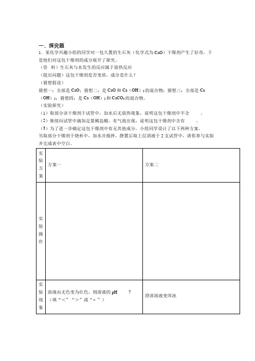 安徽省蚌埠市中考化学精选常考100探究题汇总