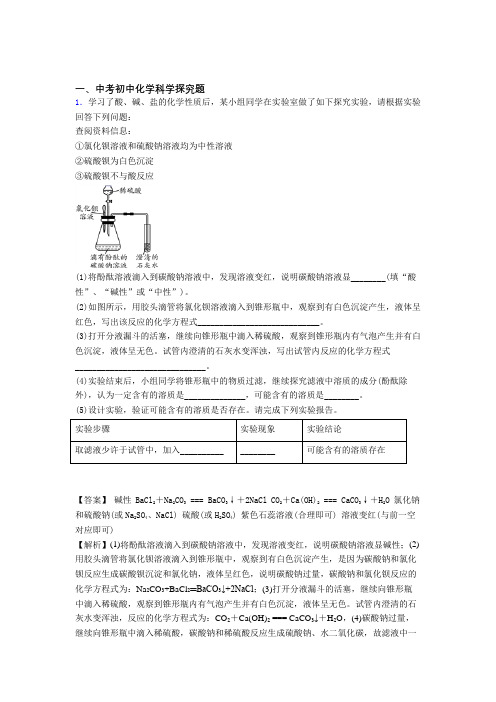 2020-2021 备战中考化学(探究题提高练习题)压轴题训练附详细答案