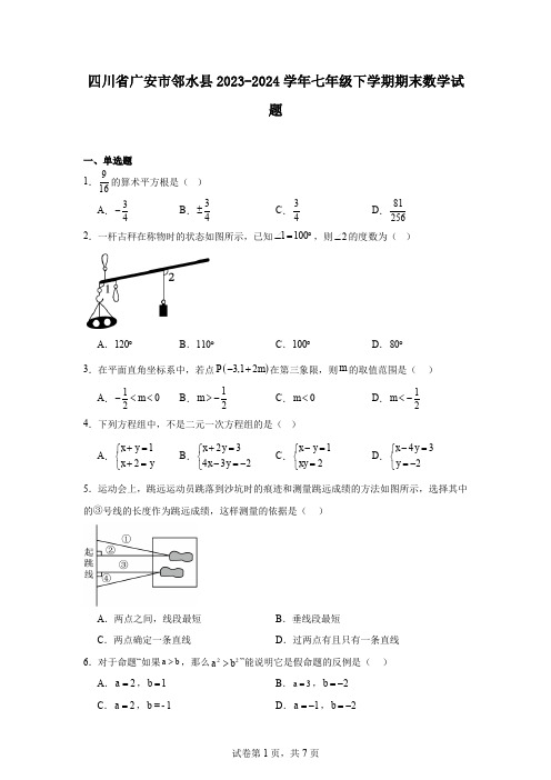 四川省广安市邻水县2023-2024学年七年级下学期期末数学试题