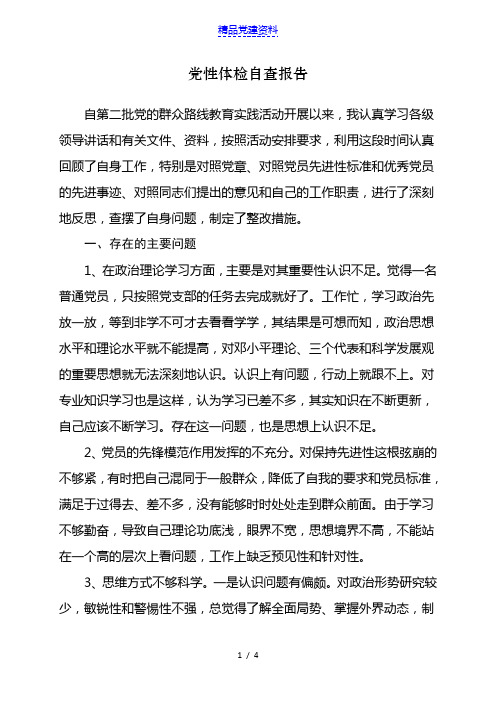 党性体检自查报告