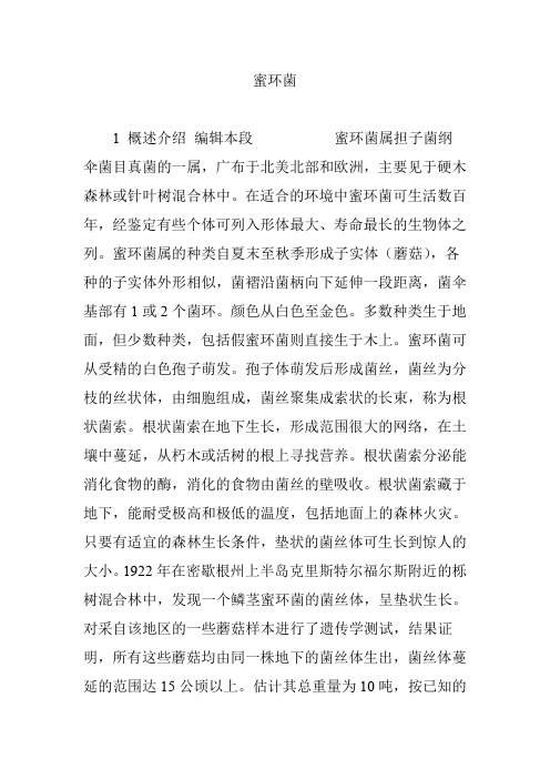 蜜环菌