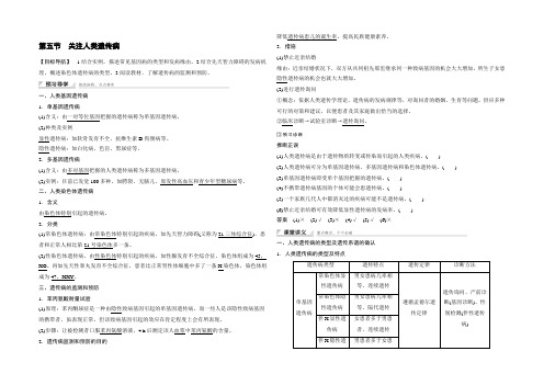 2021-2022学年高中生物(苏教版必修二)课时作业 第四章 遗传的分子基础 第五节