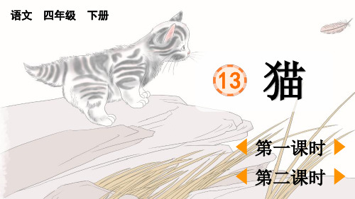 部编版四年级语文下册第13课《 猫》PPT优质课件