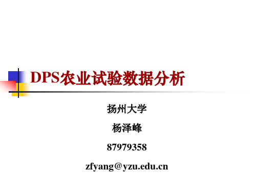 DPS应用简介