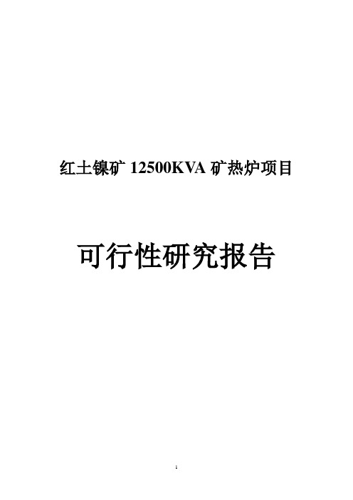 红土镍矿12500KVA矿热炉项目可行性研究报告