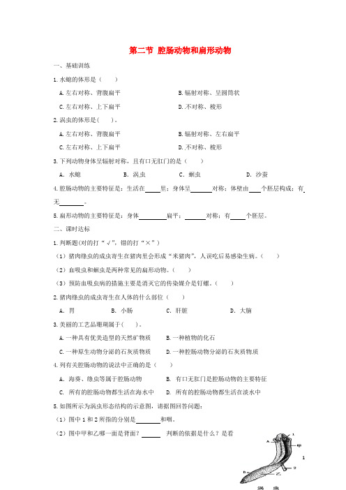 福建省莆田市七年级生物上册 1.4.2腔肠动物和扁形动物