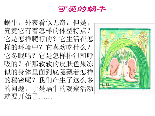 科学课件蜗牛一课件1