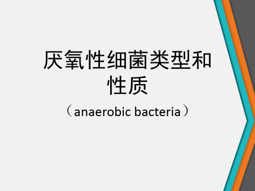 厌氧性细菌类型和性质(anaerobicbacteria)