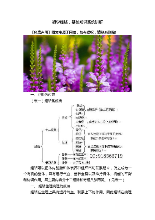 初学经络，基础知识系统讲解