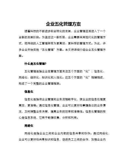 企业五化管理方案