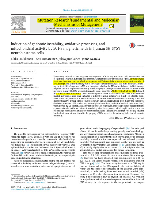 Induction of genomic instability, oxidative processes by 50 Hz magnetic fields