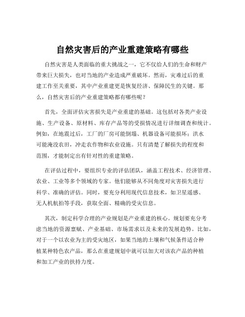 自然灾害后的产业重建策略有哪些