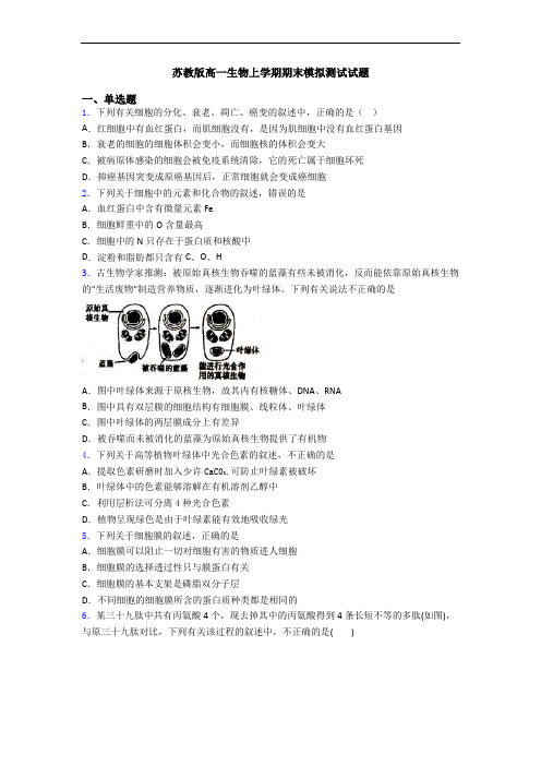 苏教版高一生物上学期期末模拟测试试题