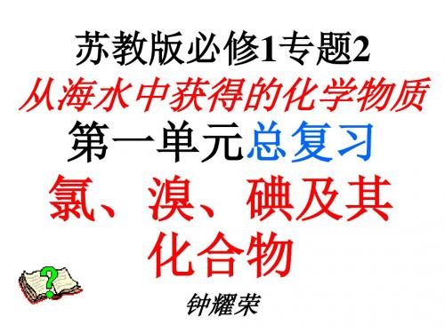 苏教版必修1专题2从海水中获得的化学物质一单元总复习