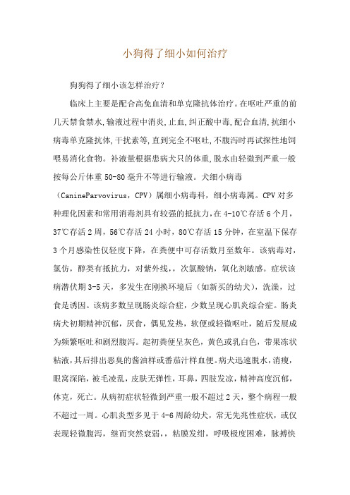 小狗得了细小如何治疗