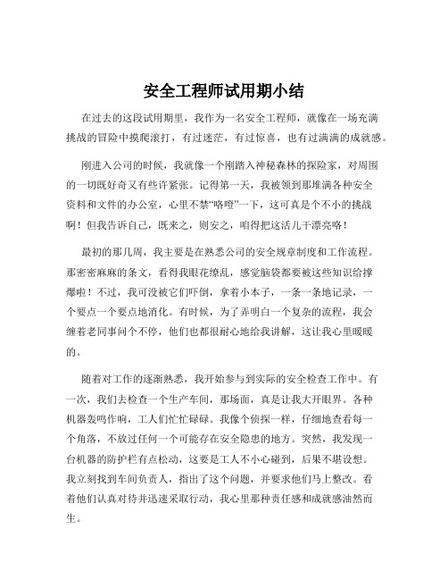 安全工程师试用期小结