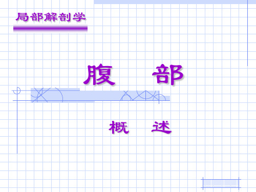 局部解剖学腹部