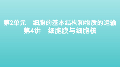 2022版高考生物总复习 第2单元 细胞的基本结构和物质的运输 第4讲 细胞膜与细胞核课件 新人教版