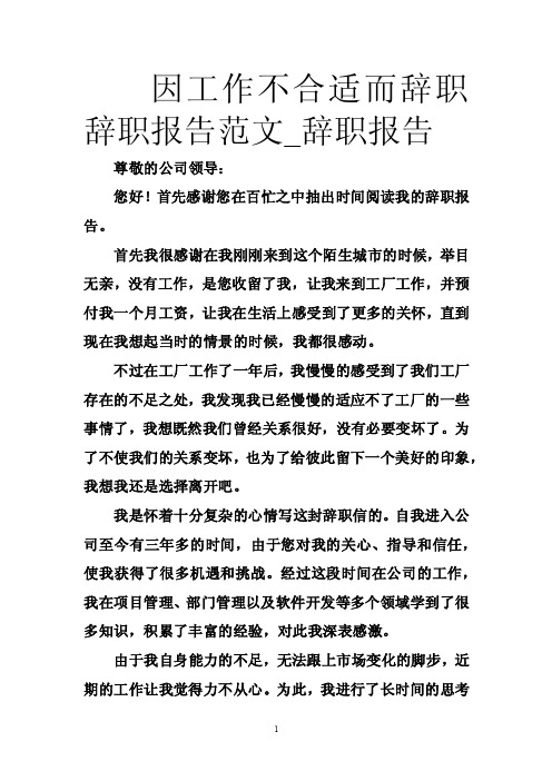 因工作不合适而辞职辞职报告范文_辞职报告