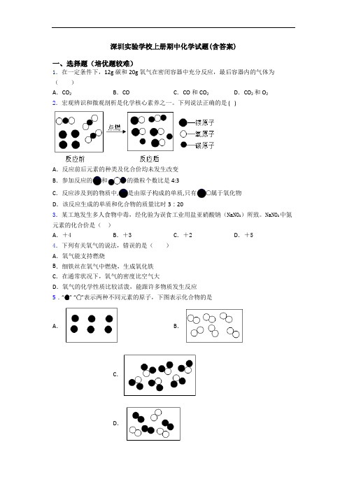 深圳实验学校初三化学上册期中化学试题(含答案)