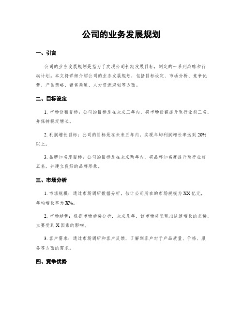 公司的业务发展规划