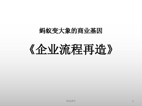 《企业流程再造》PPT课件