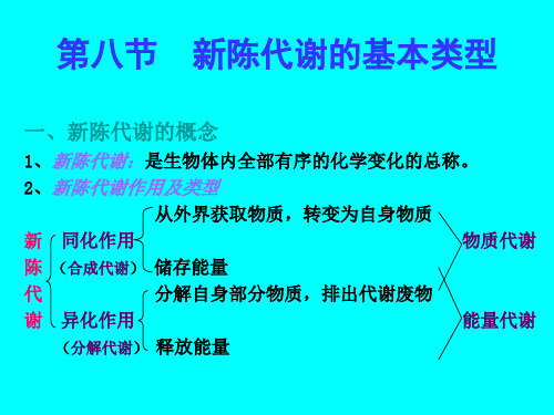 第八节--新陈代谢的基本类型(教学课件201911)