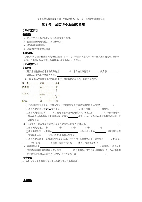 生物必修二第五章