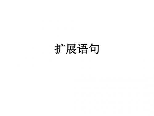 扩展语句(1)