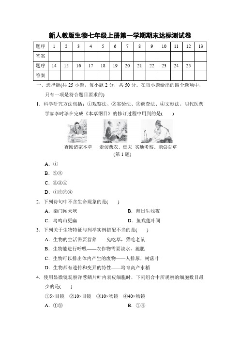 第一学期期末达标测试卷 2024-2025学年新人教版生物七年级上册