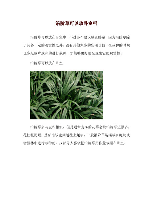 沿阶草可以放卧室吗