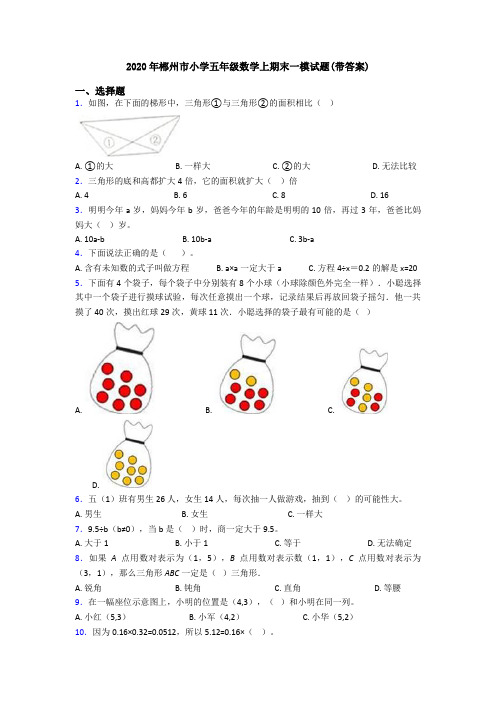 2020年郴州市小学五年级数学上期末一模试题(带答案)