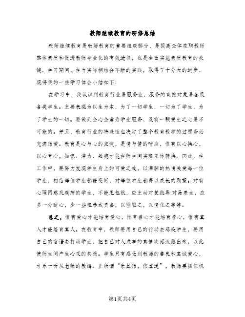 教师继续教育的研修总结（2篇）