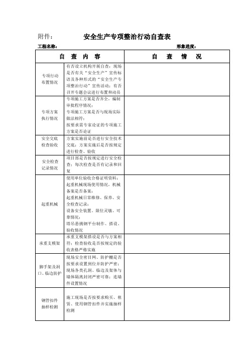 安全生产专项整治行动自查表