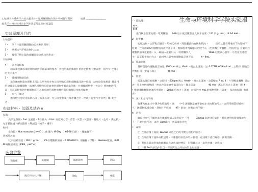 小鼠骨髓染色体实验报告