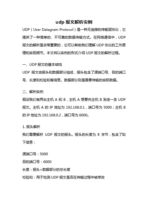 udp报文解析实例