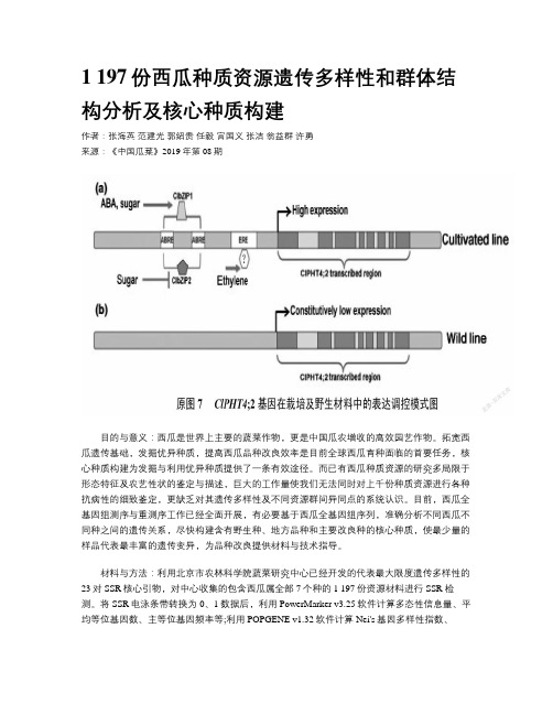 1 197份西瓜种质资源遗传多样性和群体结构分析及核心种质构建