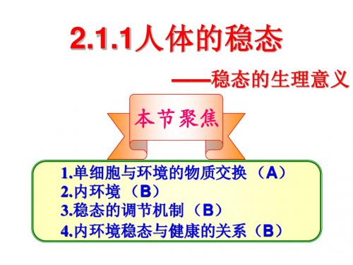 2.1.1稳态的生理意义