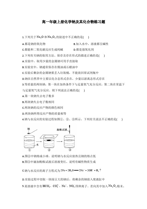 高一年级上册化学钠及其化合物练习题