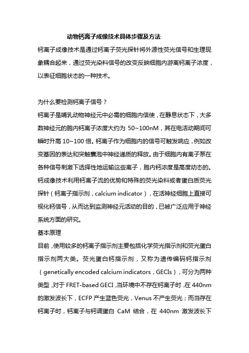 动物钙离子成像技术具体步骤及方法