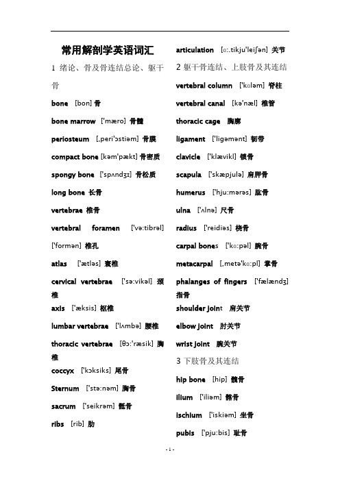 常用解剖学英文词汇