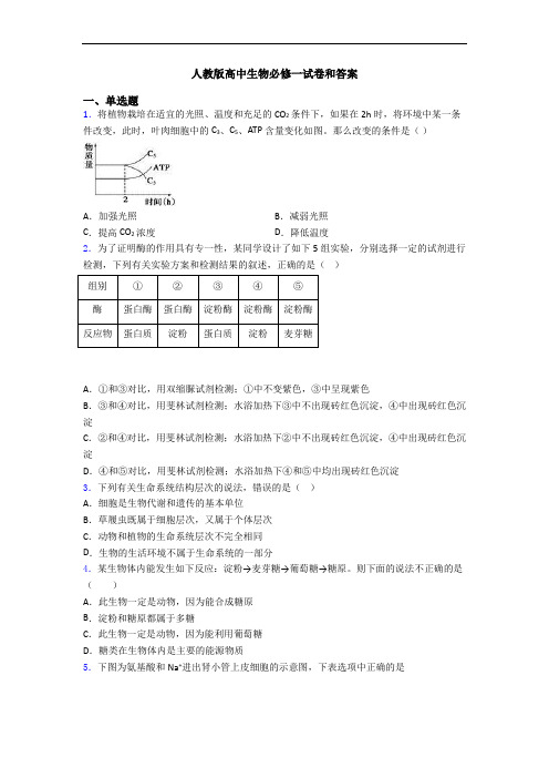 人教版高中生物必修一试卷和答案